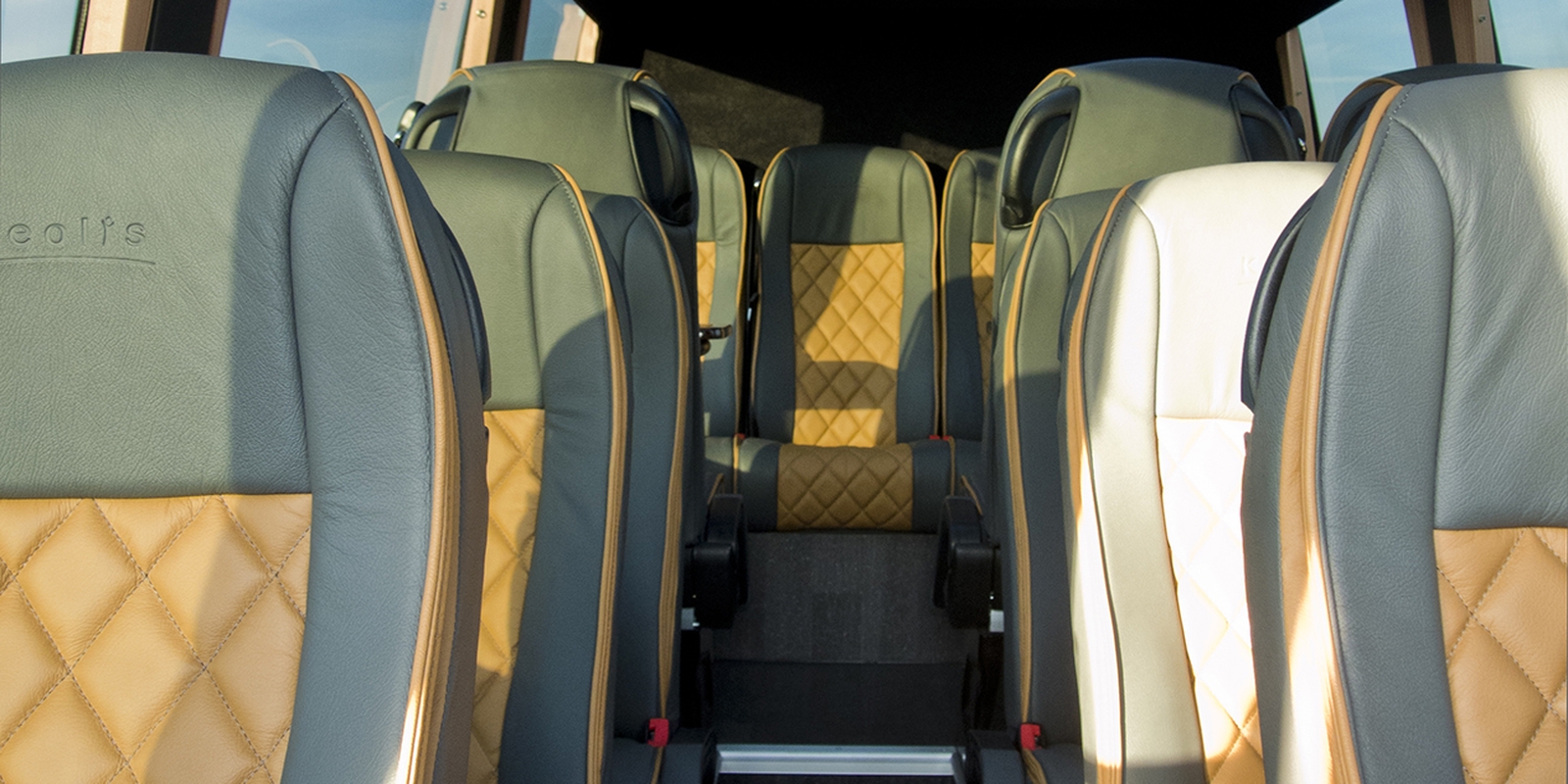 Minibus VIP